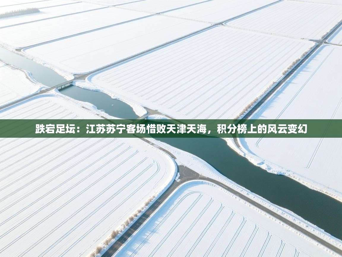 跌宕足坛：江苏苏宁客场惜败天津天海，积分榜上的风云变幻  第2张